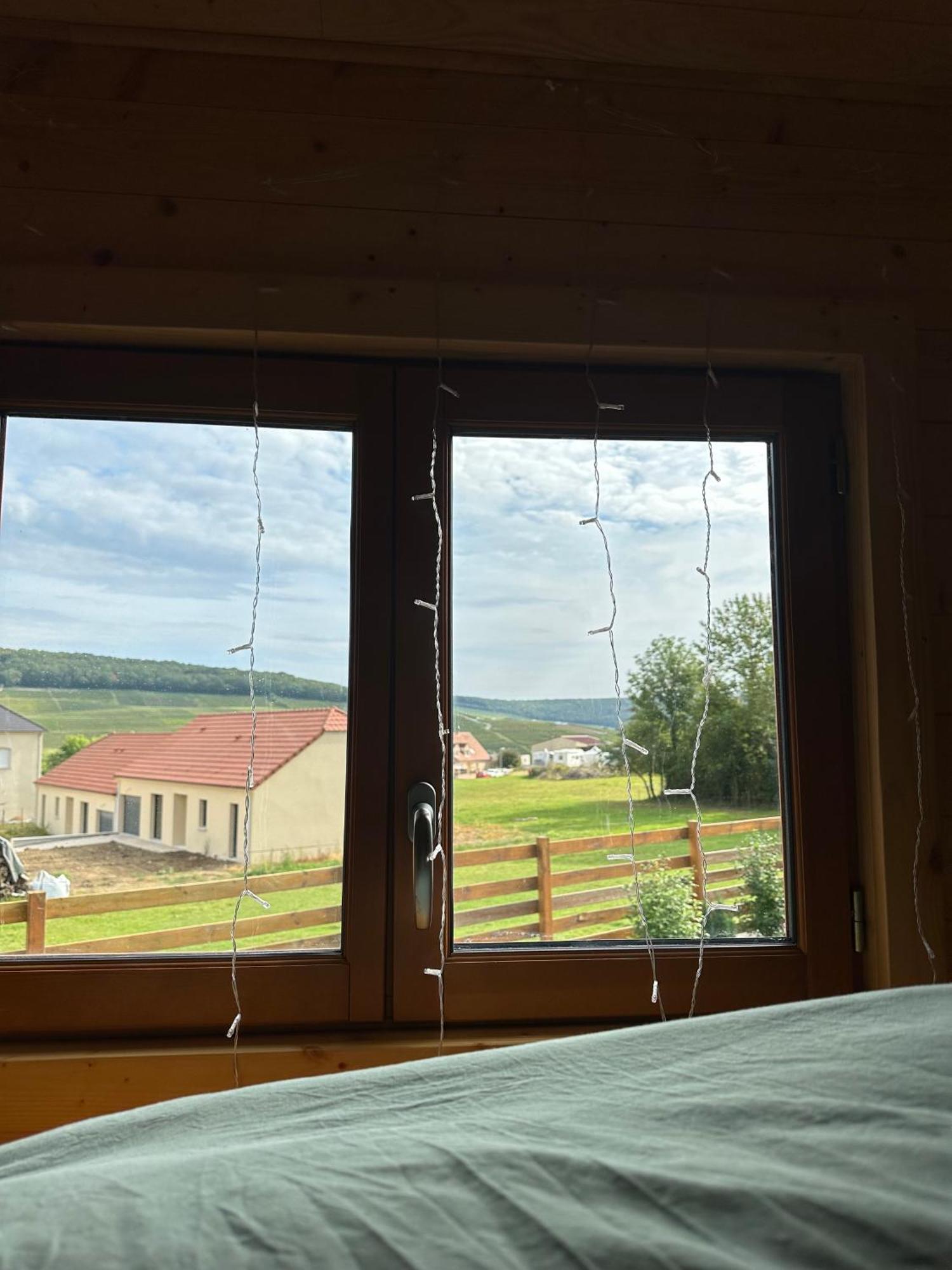 Chez Celia, Roulotte En Champagne Βίλα Fleury-la-Riviere Εξωτερικό φωτογραφία
