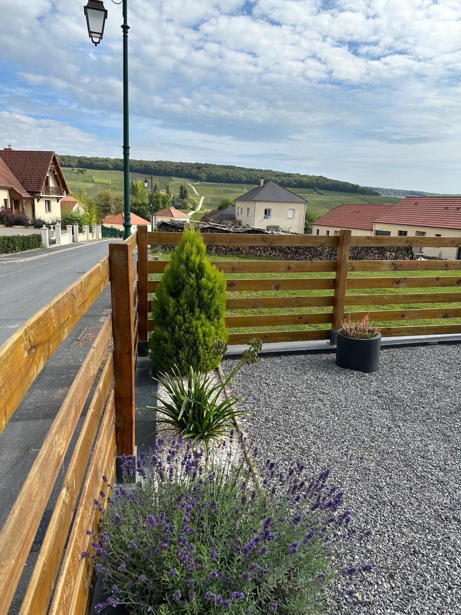 Chez Celia, Roulotte En Champagne Βίλα Fleury-la-Riviere Εξωτερικό φωτογραφία